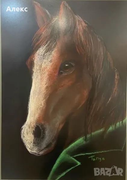 Картини Животни в дрехи, снимка 1