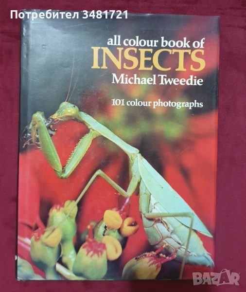 Енциклопедия на насекомите / Insects, снимка 1