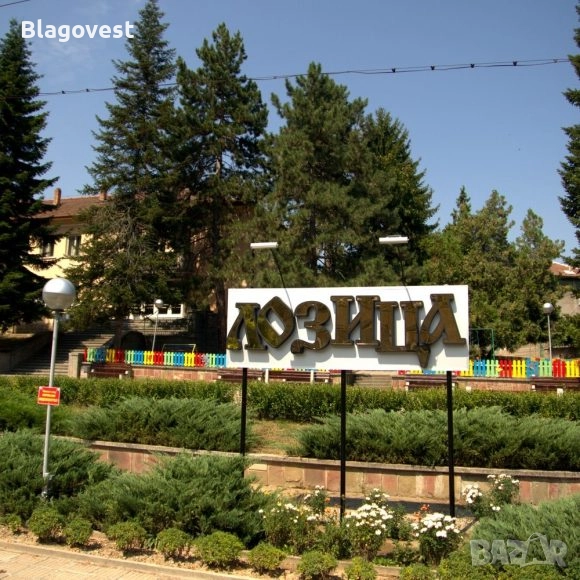 Продава се къща с 2 декара двор, снимка 1