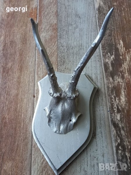 Трофей от сръндак, снимка 1