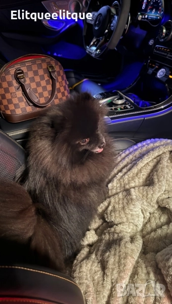 чанта Louis Vuitton , снимка 1