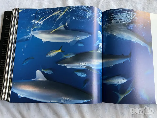 Луксозен фотоалбум "През обектива: Великите фотографии" - National Geographic (Твърди корици), снимка 8 - Изкуство, музика, кино и фотография - 56052368