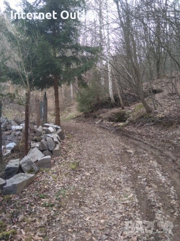 Парцел с жилищен фургон , снимка 4 - Парцели - 53607526