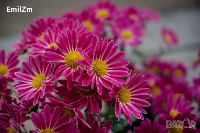 Фотоапарат SONY NEX-C3 , снимка 8 - Фотоапарати - 52722615