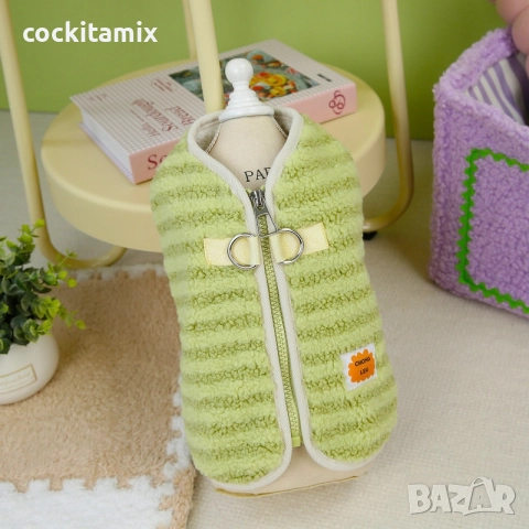 Яке за куче размер S