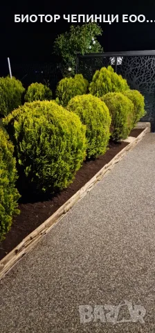 🍂 Грижата за плодородната почва започва през есента и продължава през пролетта! 🌱, снимка 13 - Градински цветя и растения - 56196120