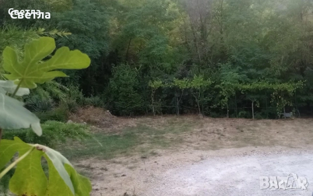 Дворно място за разсад и отглеждане на растения