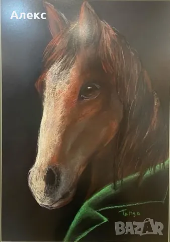 Картини Животни в дрехи, снимка 1