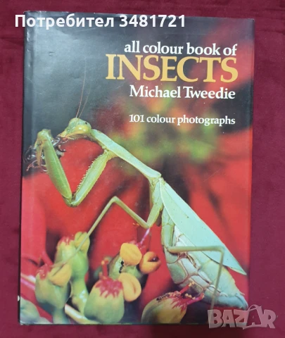 Енциклопедия на насекомите / Insects, снимка 1