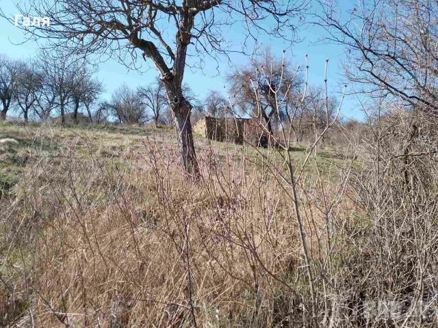 продавам парцел с. Прибой обл. Перник , снимка 3 - Парцели - 53838532