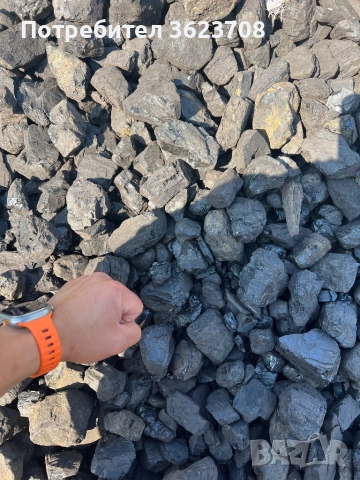 Въглища, снимка 4 - Въглища - 52650291