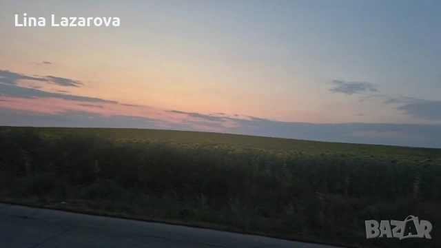 Прадава 40.2 дка земеделска земя в с. Рогозина, Ген. Тошево, Добрич. 