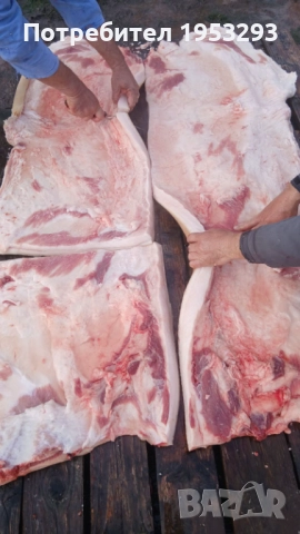 Прясна шарена сланина от бяла българка