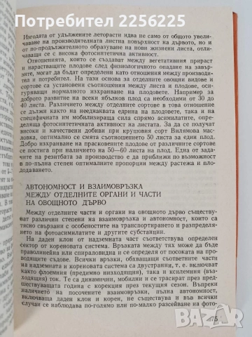 Резитба на овощните растения, снимка 9 - Специализирана литература - 52848996