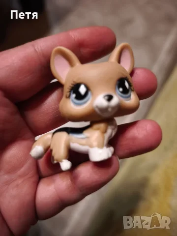 Littlest pet shop, rare dogs, снимка 5 - Фигурки - 56366958