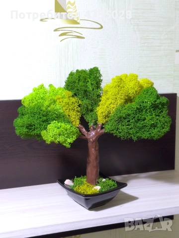 Бонзай от скандинавски мъх 