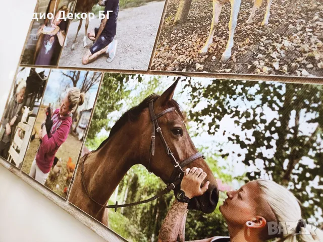 Картина колаж от снимки, снимка 11 - Декорация за дома - 48098638