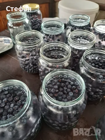 Продавам домашен компот от черни (горски) боровинки, снимка 5 - Домашни напитки - 56234265