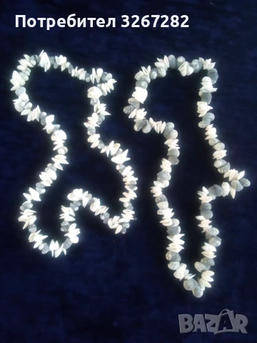 Гердани,Кубински,Редки Морски Раковини