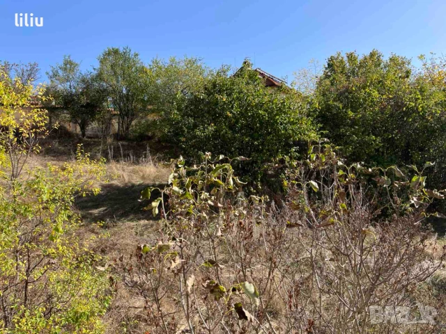 Продава ПАРЦЕЛ област София, с. Широки дол, снимка 7 - Парцели - 53151175