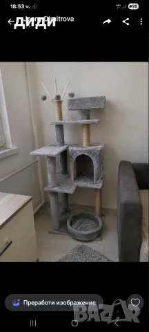 котешка катерушка 