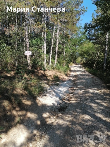 Продавам парцел 2700кв в местността Акчелар , снимка 7 - Парцели - 53243453