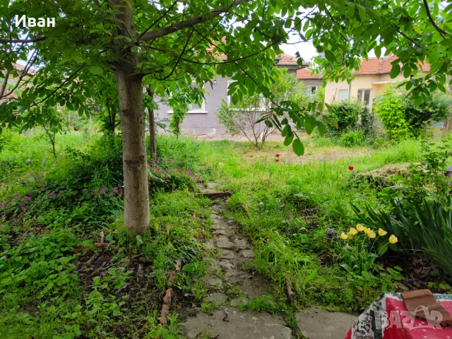 Къща в Лом от собственик., снимка 7 - Къщи - 50207282