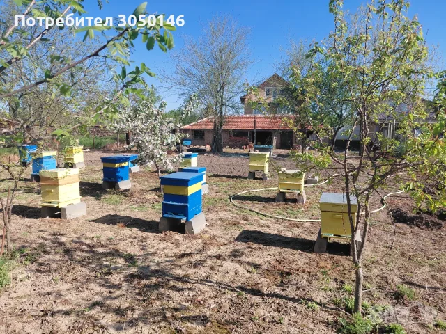 Продавам дворно място, снимка 5 - Къщи - 55756720