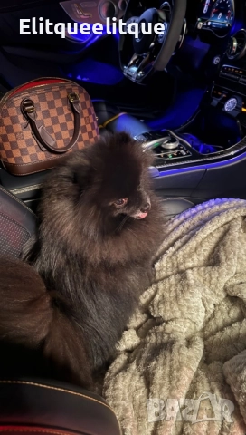 чанта Louis Vuitton 