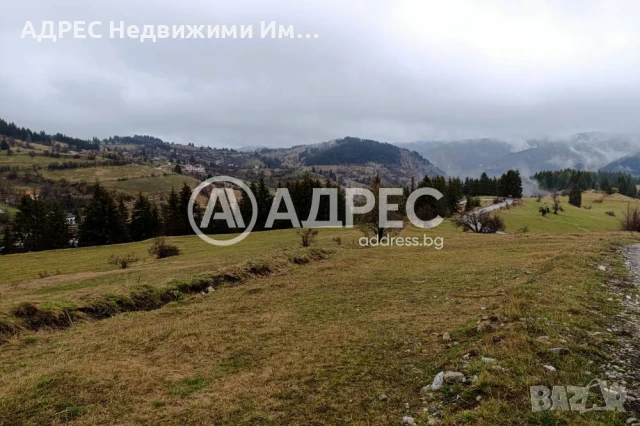 Поземлен имот, снимка 4 - Парцели - 51105225