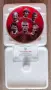 Колекционерска порцеланова чиния Manchester United – "100 Glorious Years" (Danbury Mint), снимка 3