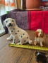 Различни модели порцеланови кученца, снимка 3