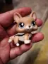 Littlest pet shop, rare dogs, снимка 5