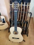 Продавам нова класическа китара Pasadena, снимка 1