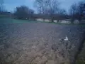 Къща с голям двор, снимка 8