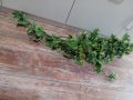 Красиво изкуствено зелено цвете, листата се регулират ,Меко като естествено , снимка 3