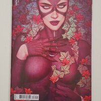 Комикси Catwoman Vol. 5, #1-43 + 2 Annuals + 12 Variants, NM, DC, снимка 7 - Списания и комикси - 38504877