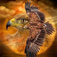 Диамантен   гоблен Орел до Слънцето, снимка 1 - Гоблени - 40573257