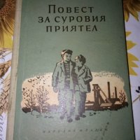 Повест за суровия приятел-Леонид Жариков, снимка 1 - Детски книжки - 41777426