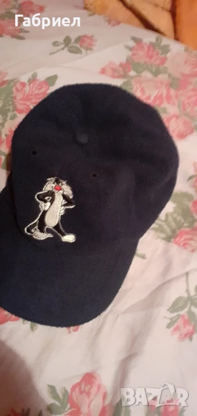 Шапка на Warner Bros. , снимка 1