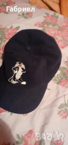 Шапка на Warner Bros. 