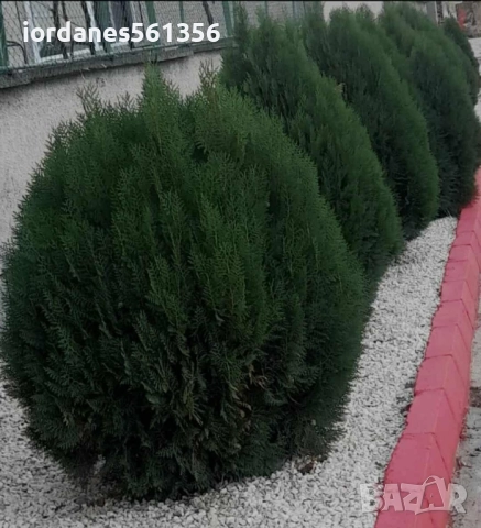 Земновлажен бетон,Филц,Пясък,Чакъл ,и бял чакъл за декороция-бял камък, снимка 15 - Други ремонти - 52281190