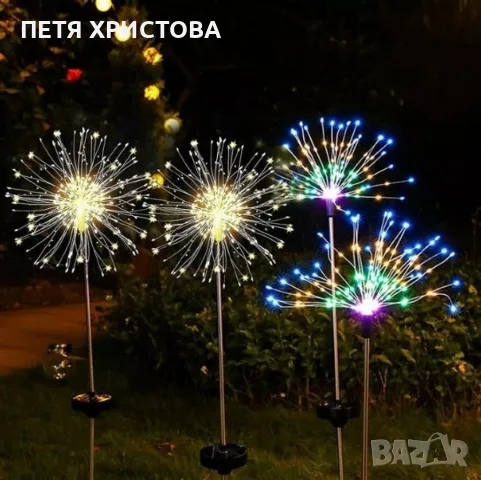 Соларно глухарче