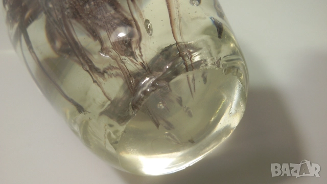 2 медузи от балончета в стъкло (цена за двете заедно), снимка 14 - Декорация за дома - 52058864