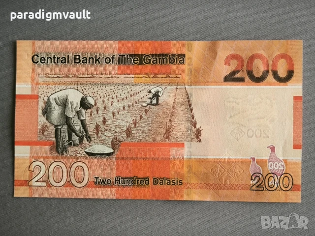 Банкнота - Гамбия - 200 даласи UNC | 2023г., снимка 2 - Нумизматика и бонистика - 50706327
