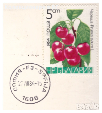 СЕТ БЪЛГАРСКИ МОНЕТИ 1974 ГОДИНА /виж описанието/, снимка 5 - Нумизматика и бонистика - 53513122