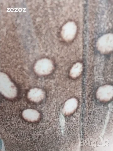 Керамичка поставка за чадъри, снимка 4 - Декорация за дома - 55886484