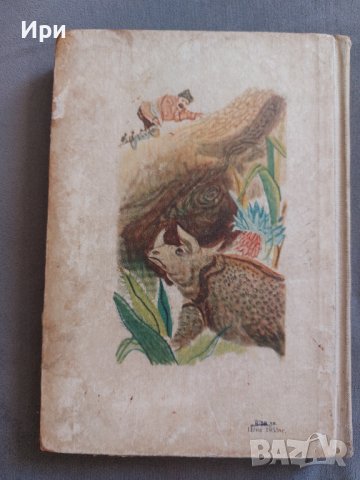 Ловци на жирафи, снимка 2 - Детски книжки - 41979743