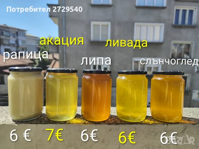 пчелен мед и пчелни продукти