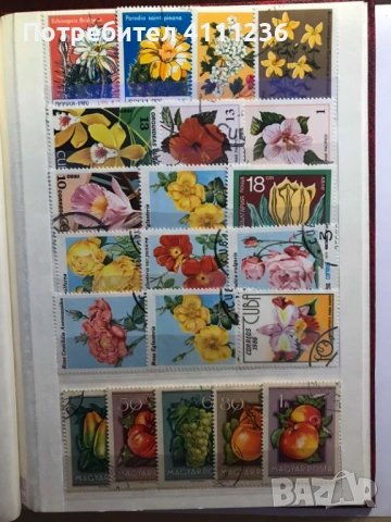 Класьор с марки на тема "Цветя", снимка 16 - Филателия - 53611717